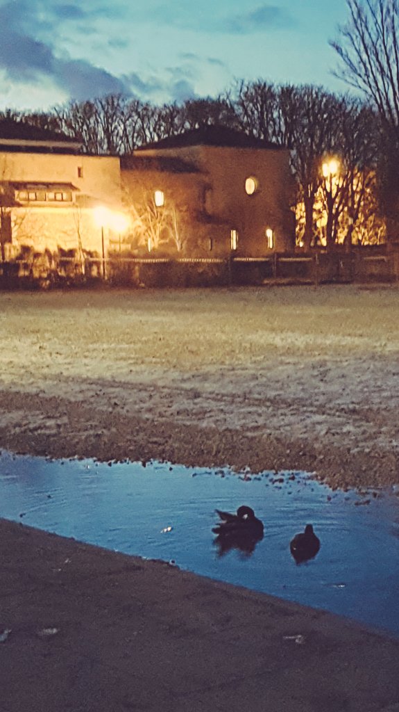 Noticias frescas para acabar el lunes!
La <a href="/UBUEstudiantes/">Universidad Burgos</a> estrena su UBUestanque con tres #UBUpatos 🦆