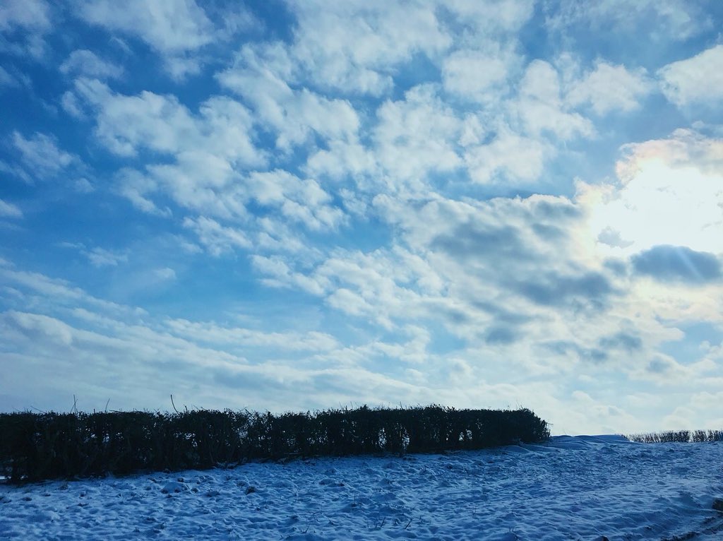 tamsingreen's tweet photo. Mini #snow drifts from the mini beast❄️☃️ #Beastling https://t.co/TGVOUw5sb5