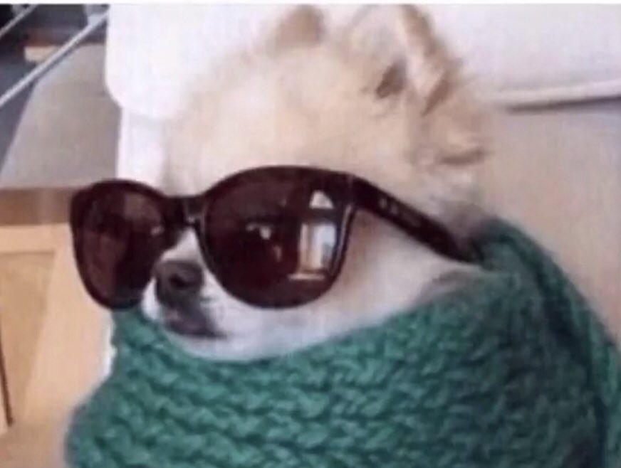 Pretty sure this is what I thought I looked like sunglass shopping in Chicago... after three champagne margaritas.