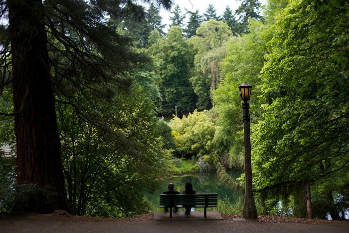 As cities grow, we must bring the forest into our midst -- or pay up buff.ly/2u6stMK