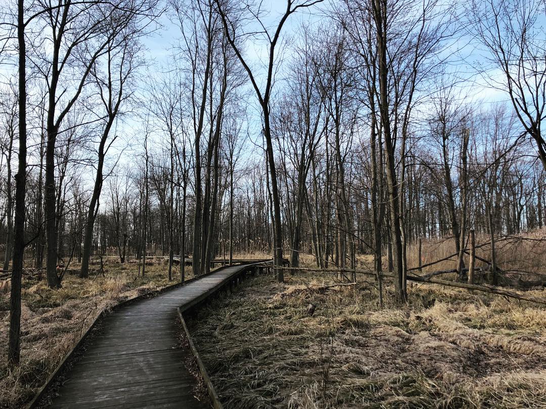 First day of spring? Right around the bend. #CbusMetroParks #LifeInCbus (pic by <a href="/rpark/">rpark</a>.photography)