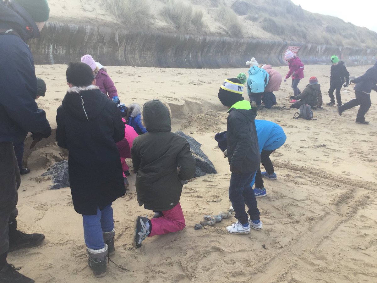 BrowickRoadPrimary tweet media