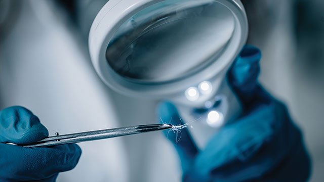 LabManager's tweet photo. As analytical techniques improve or constraints arise, forensic scientists explore new kinds of samples... https://t.co/uwto3R0VGt #ForensicScience #ForensicSamples SamplePrep https://t.co/nnTDTd8HNW