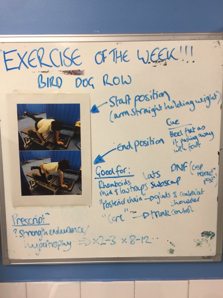 Physio_Grodes's tweet photo. A much delayed #EOTW - made and demonstrated by the fantastic @SaraRobbie #birddogrow #posteriorchain #trunkcontrol https://t.co/ZxOEAQGJ0F