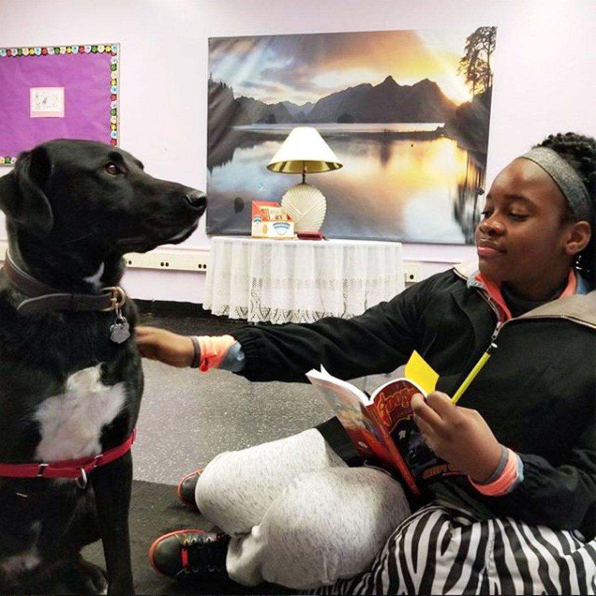 Muttigree's tweet photo. Clinton Elementary, AR is being awarded a prestigious grant through the @SmartGivingAR Summer Learning Initiative. Under their theme "Paws for Reading", students will read books emphasizing shelter pets to real dogs!
#SummerReading #ReadAmerica #ShelterPets #Rescue #RescueDogs https://t.co/KdkfIknNDY