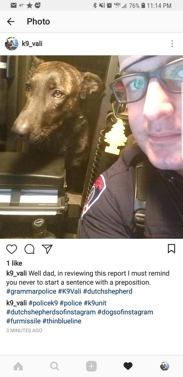 Who needs spell check when you have a Dutchie.... #K9Vali #dutchshepherd #policek9 #k9unit #LivePD #LivePDNation #thinblueline #furmissile
