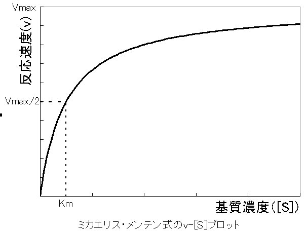 Caston 今日は酵素反応速度論で有名な科学者の1人 モード メンテンの誕生日だ メンテンは女性だったがために 生まれ育ったカナダで研究を行うことができず 30代でドイツに渡った そこでミカエリスと研究を行い ミカエリス メンテン式を導いた Caston 今日は酵素反応速度論で有名な科学者の1人 モード メンテンの誕生日だ メンテンは女性だったがために 生まれ育ったカナダで研究を行うことができず 30代でドイツに渡った そこでミカエリスと研究を行い ミカエリス メンテン式を導いた