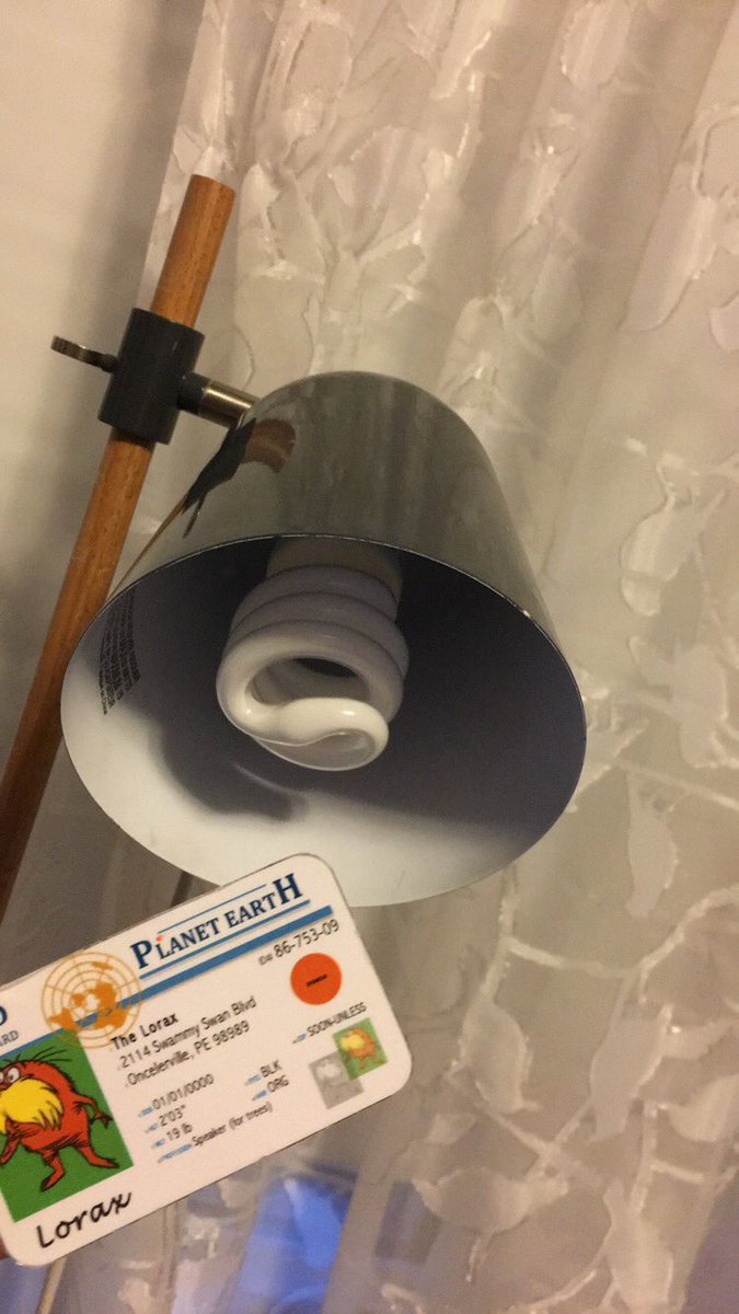 jg514061apes's tweet photo. This fluorescent light bulb is much more efficient than the typical incandescent light bulb. Also it is much stronger and better for the environment! #apesenergy @franklinlorax https://t.co/E1pVVuSLgk