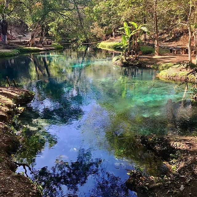 Enjoy the sound of Mexico's nature. 
Plan and book your trip to Mexico at zpr.io/nPkqb

#MexicoXpertz #TripXpertz, #KnowBeforeYouGo, #Mexico, 
#XperienceMexico #LocalXpertMexico #AdventureMexico #VisitMexico #LasRosas #Chiapas #VisitMexico #Escapethecoldca Photo by <a href="/cr/">Conservative Review</a>