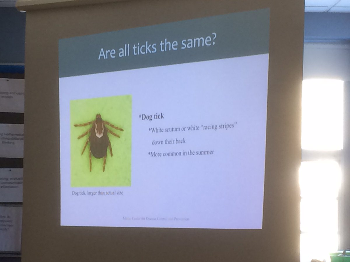 morgancuthbert's tweet photo. So happy to have made the connection with the @MaineCDC for their tick and mosquito outreach! Our Ss are now more aware and can make safe and educated decisions. Education, fun activities, engagement and learning while doing! @MAINETOY @YarmouthHMS #ConnectC2C https://t.co/RRDaU25D2m