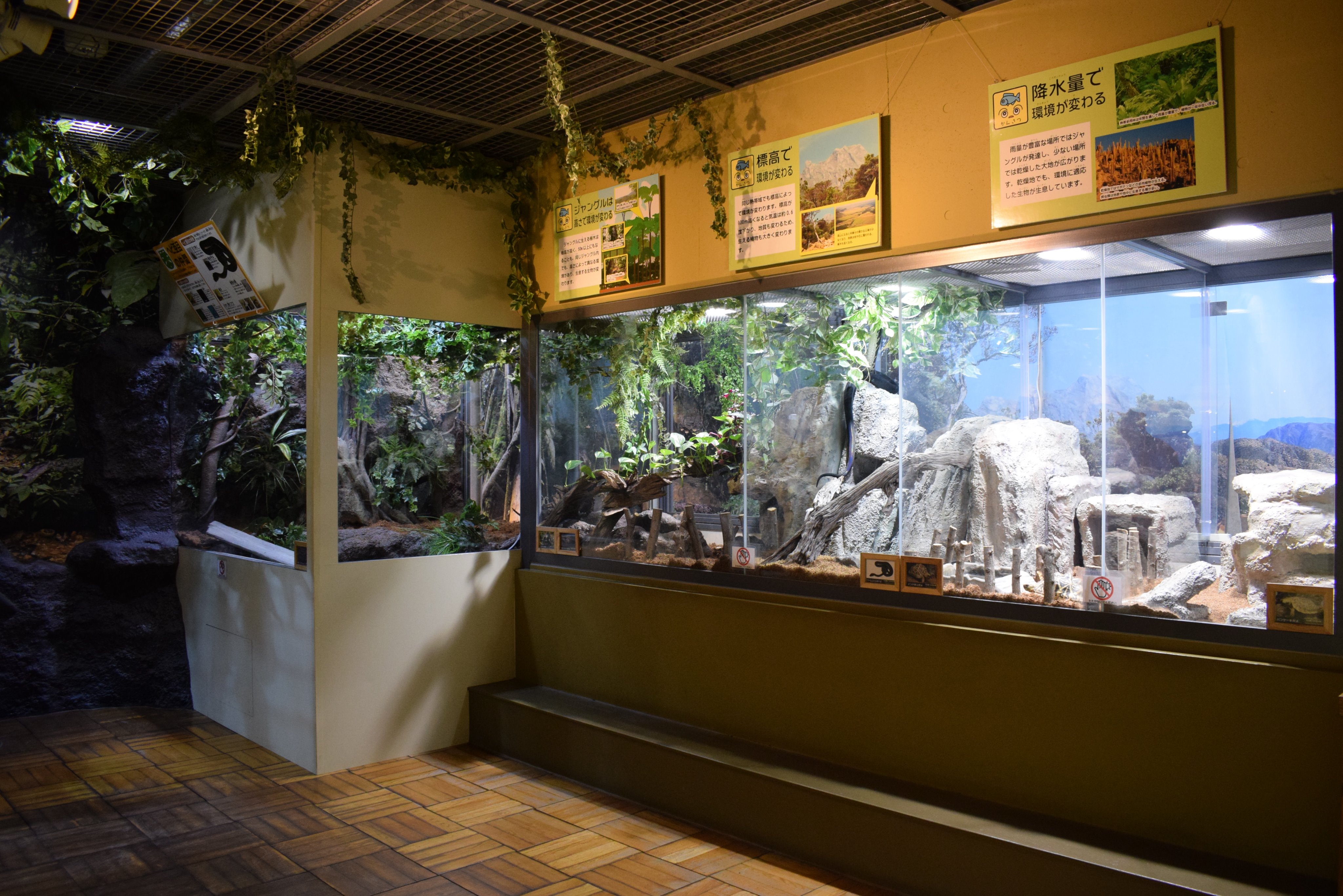 足立区生物園 on X: 足立区生物園 on X: