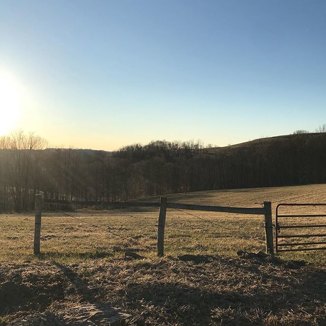 dumbbiologist's tweet photo. Tomorrow is the first day of spring. In the spirit of #frazierforall, I’m sharing my favorite view. You might have passed it. Regardless of the season or time of day, it’s always just perfect. I took this picture Sunday afternoon. It looks like the hills… https://t.co/P0X1pjX0B5 https://t.co/3OpHFTWUMc