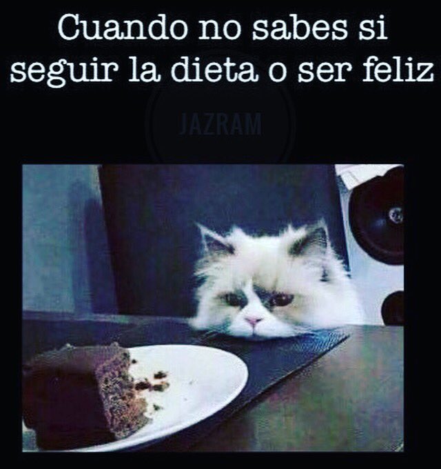Jaz24Ram's tweet photo. 🤣🤣🤣🤣🤭
Buenas noches!

Ventaja de un plan 👌🏼

#meencanta #powercouple https://t.co/47ouxpJor6