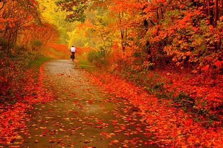AlpioCosta's tweet photo. #Equinoccio | Este martes 20 a las 13:15 HOA se termina el verano 😭 y arranca el #otoño en todo el Hemisferio Sur. Tiene esto algun significado? Mañana te lo cuento... https://t.co/Rs1Ac6hJ1m