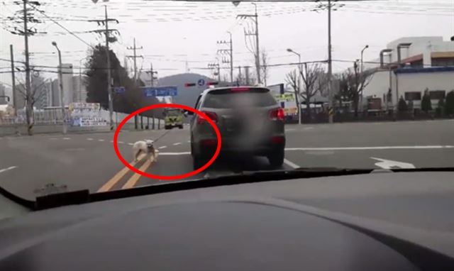 강아지 목줄 손에 잡고 도로 달린 잔혹한 견주

안산소식 페이스북 관리자는 “엄연한 동물학대로 정말 화가 난다”는 글과 함께 46초 분량 영상을 공개했다. 

hankookilbo.com/v/5de491d762b8…