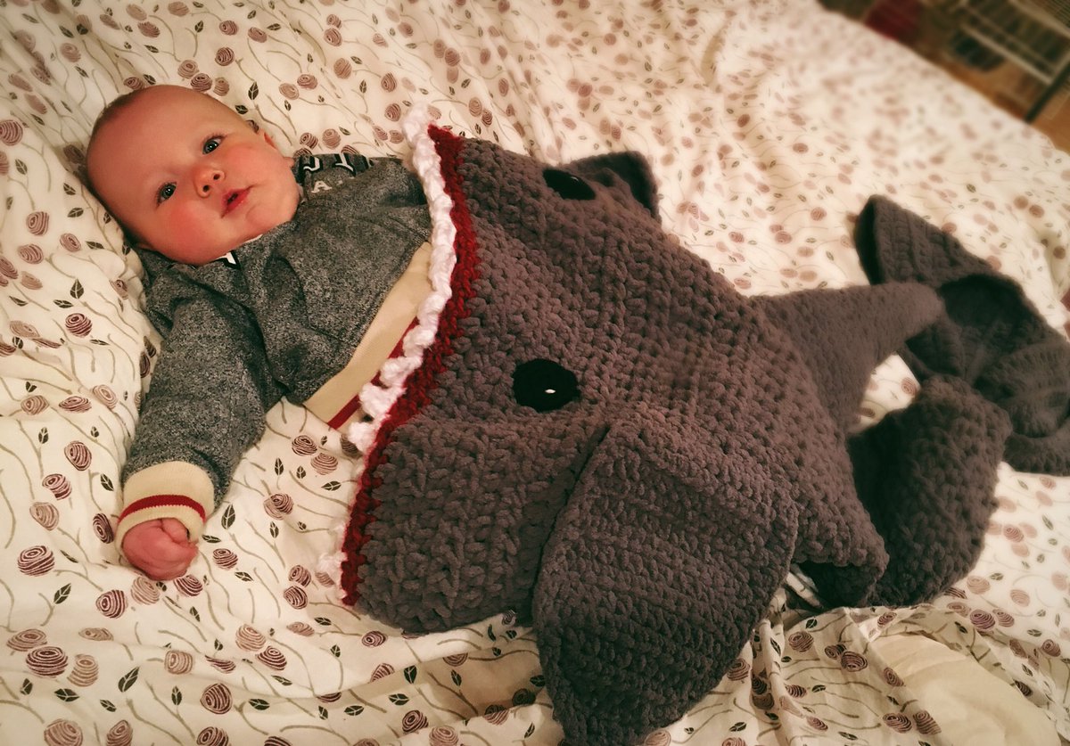 GitanaCaliente's tweet photo. He pooped, so I fed him to the shark. 🦈 https://t.co/XutiOVoYaC