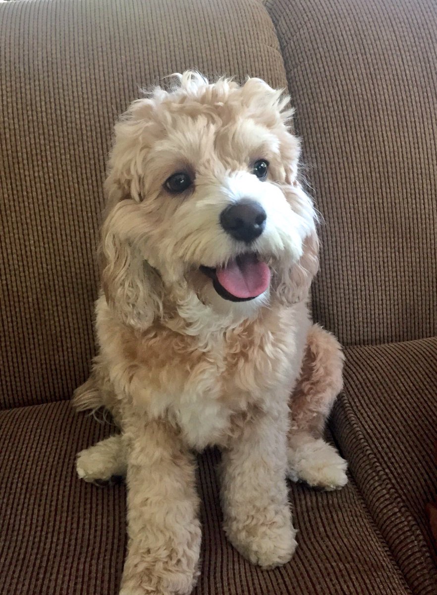 Anne Goodnight tweet media