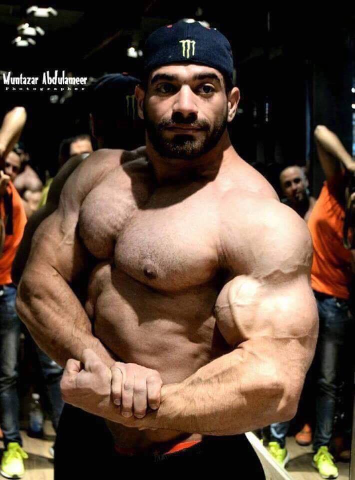 pacocutler's tweet photo. #Iraqibodybuilder #RiadHamoudi #arabhunk #bodybuilder #bearded #bodybuilding #muscle #musclelover #musclemen #muscleworship https://t.co/SqnjsQE00s