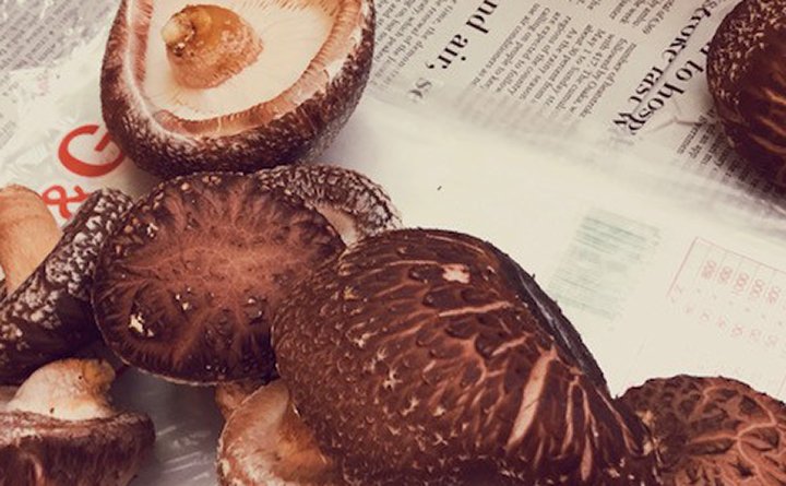 yuyuhome's tweet image. PURESTYLE projectブログ更新☆
シイタケ！！！
 #志免町向ヶ丘 #ピュアスタイル5　近況はこちら⇒purestyleproject.amebaownd.com
 #purestyle #傾斜地 #ウッドデッキ #シイタケ栽培