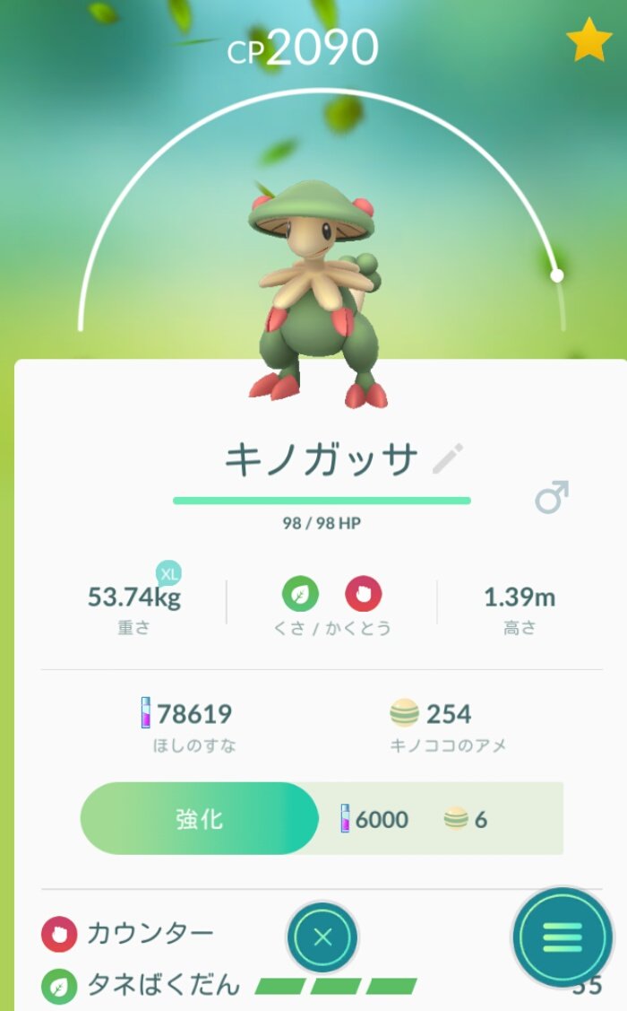 キノガッサ Twitter Search