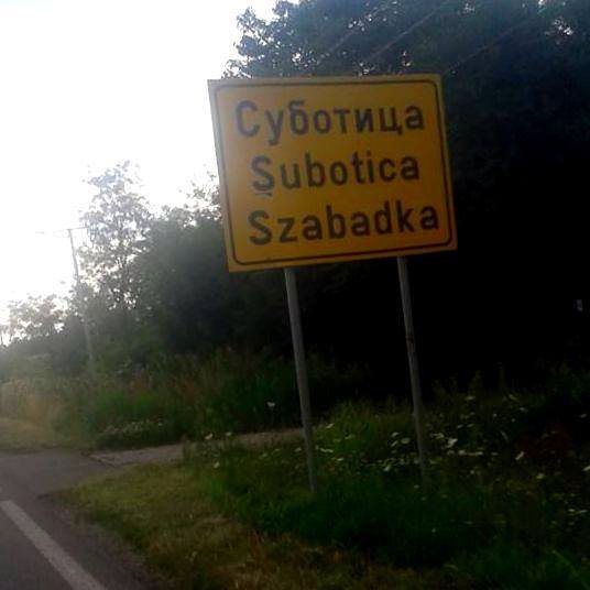 BackiKriz tweet picture