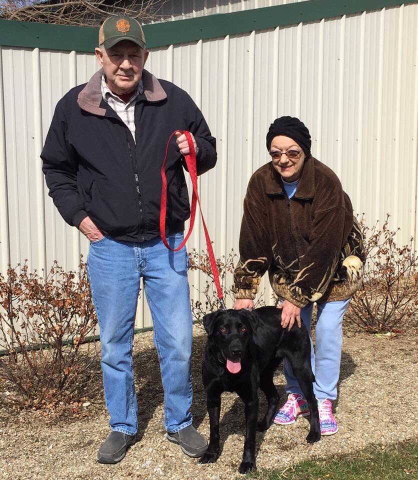 BARCValpo's tweet photo. Macy lived her life on a chain in rural Kentucky. Everything in this world is new to her and she is still as sweet as can be. Her new family is so excited to have a 4 legged member back in the family again #DogsForDaniel #DogsAreFamily #LabradorRetriever #Gorgeous #shiny https://t.co/xPiTT1EGS4