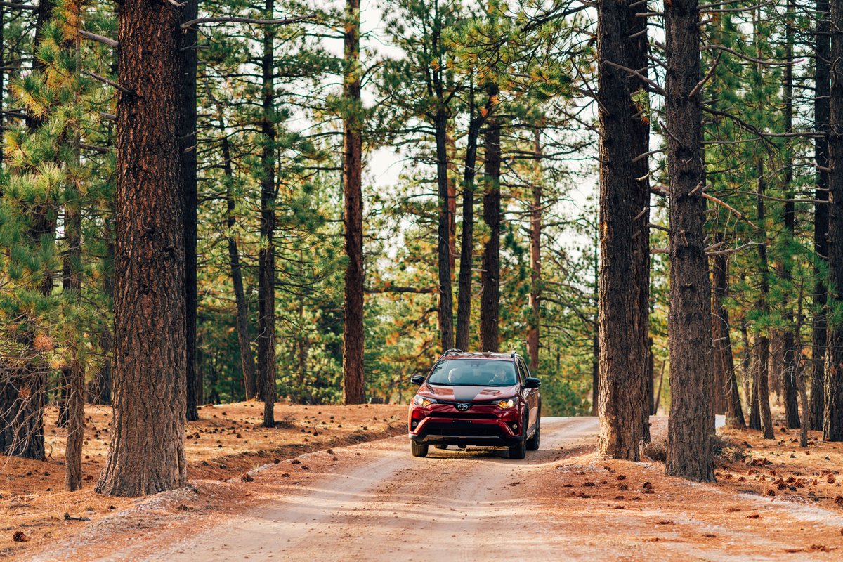 Drove through some back roads to find the campsite. We put the #RAV4AdventureGrade to the test and this car out performed our expectations! <a href="/Toyota/">Toyota USA</a> #LetsGoPlaces #RAV4AdventureHack
