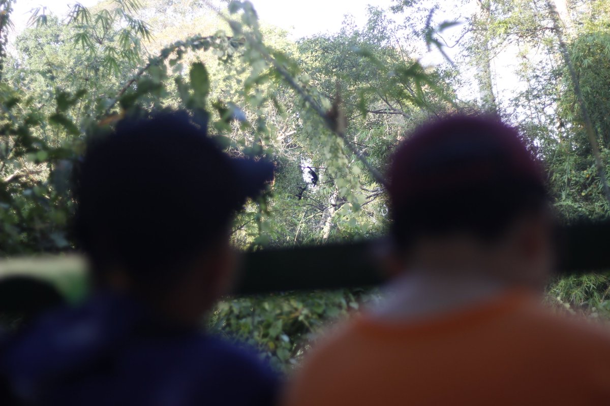 BIS_Community's tweet photo. Year 6 had a fantastic time visiting their Community Partner @EAST_DaoTien as part of their residential trip! They had a packed morning of activities that included behavioural observations and enrichment for the gibbons as well as painting EAST's pump house! #BISHCMC https://t.co/08qvreO7uT