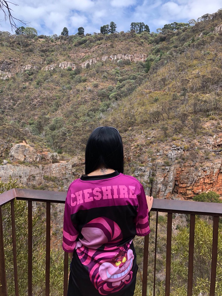 ShellieJaye's tweet image. Back to work after 2 weeks off. I miss views like this on hiking adventures.