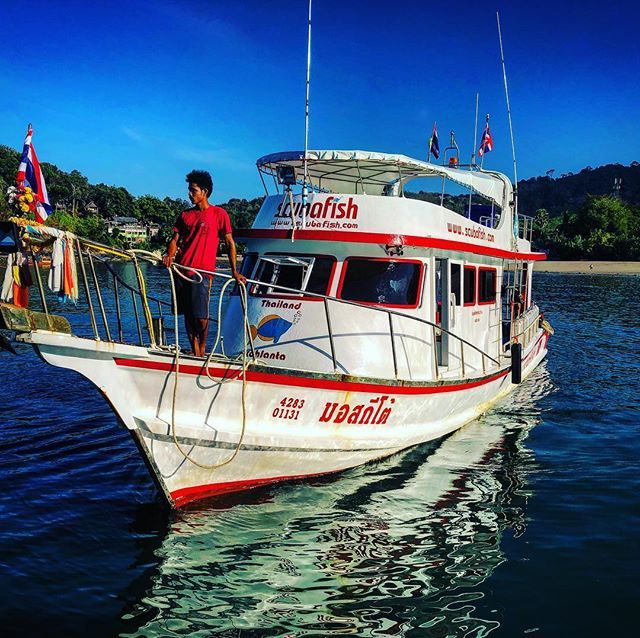 klcpp's tweet image. Sea Shepherd Coral Propagation Trainer Course Day 3 ift.tt/2poWnXh