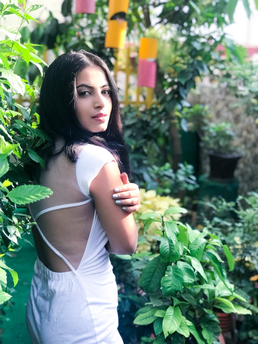 Miss Chase tweet media