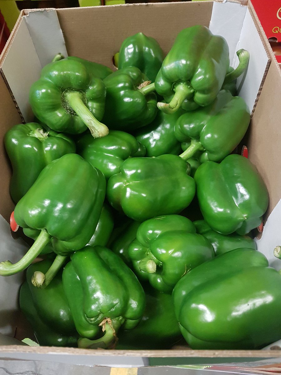 NDwholesale's tweet photo. Dutch peppers now in full flow here at Northdown #fresharrivals
#dutchproduce https://t.co/vDDeVe8H7e