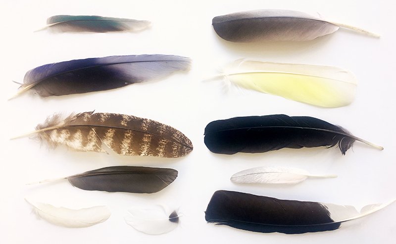 Kaldor Public Art Projects tweet media