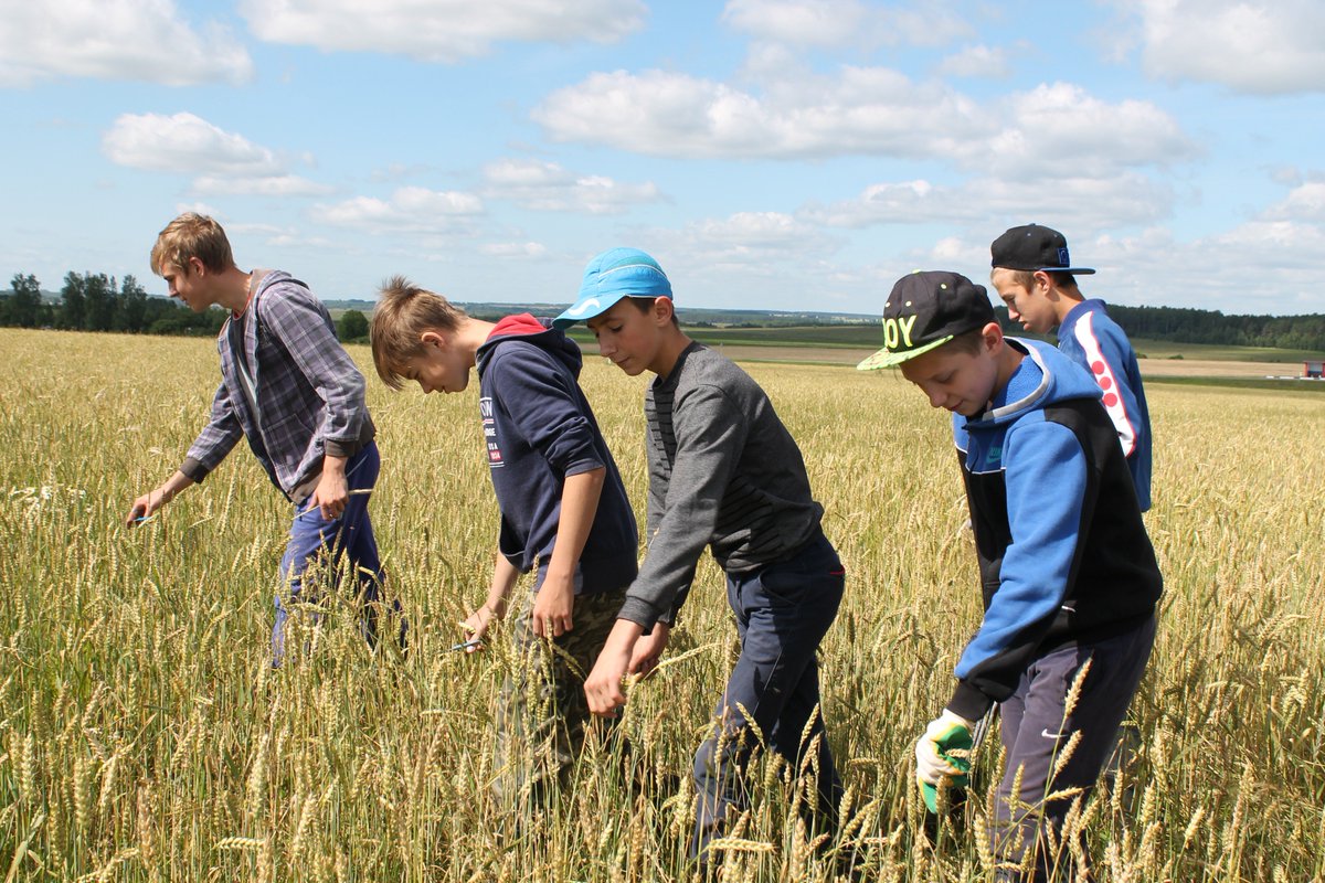 Встреча с работодателем. Желающие трудоустроиться. Трудоустройство картинки. Работники сельского хозяйства. Студотряд брсм.