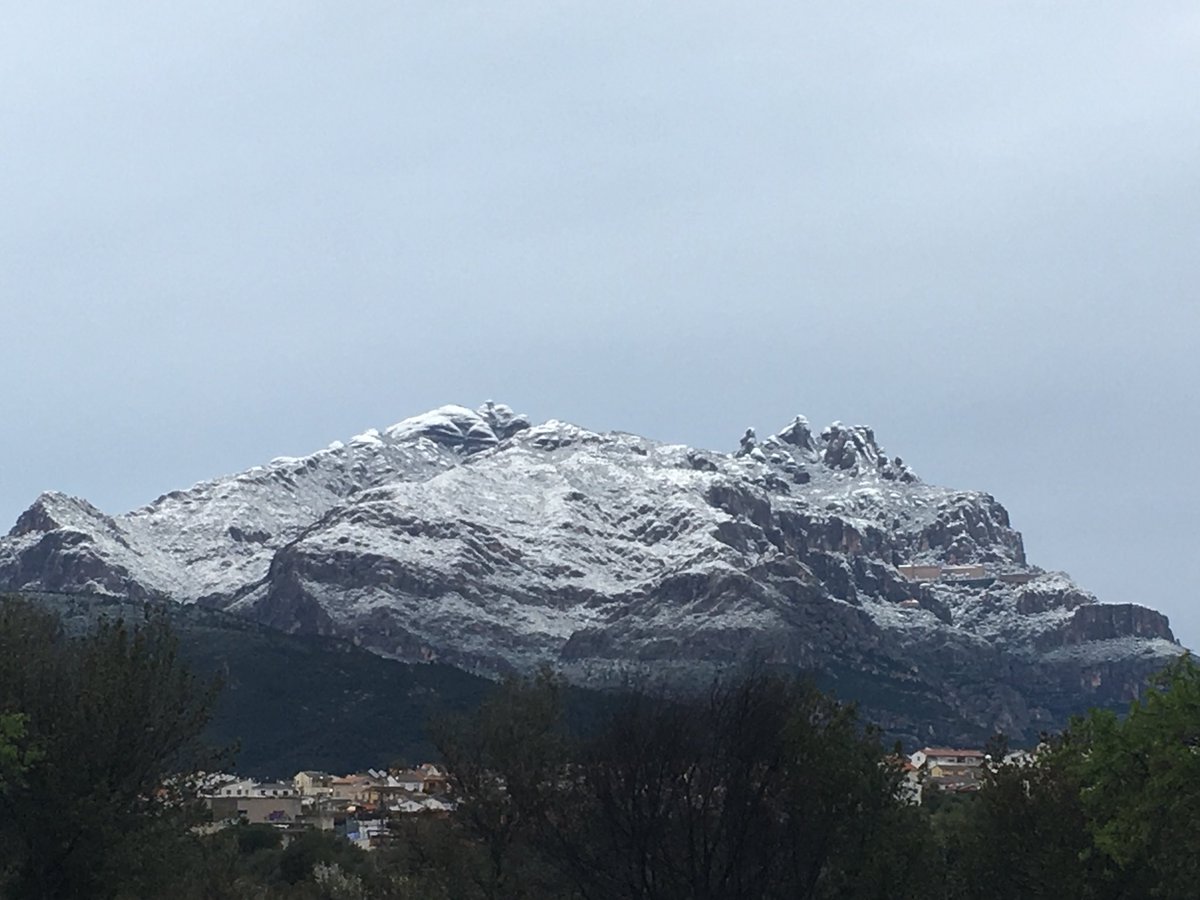 Politronio tweet media