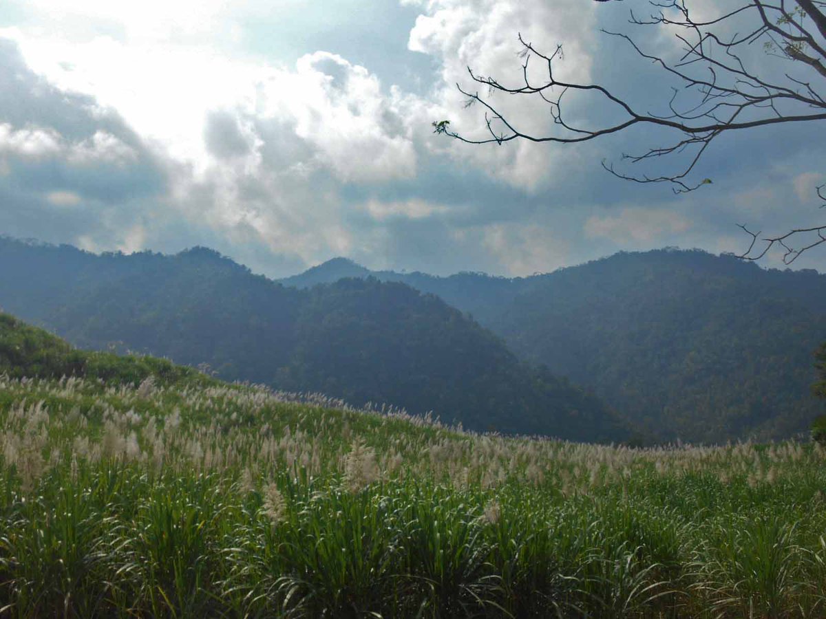 area_jogja's tweet image. Biarpun terik tapi pemandangan alam di perbukitan menoreh bikin suasana berasa seger.

#MampirKulonProgo