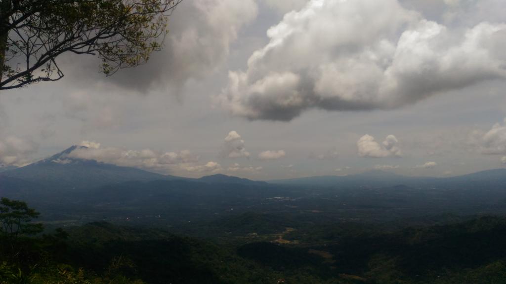 JogjaUpdate's tweet image. #MampirKulonProgo ke Kebun Teh Nglinggo, Samigaluh, Kulon Progo