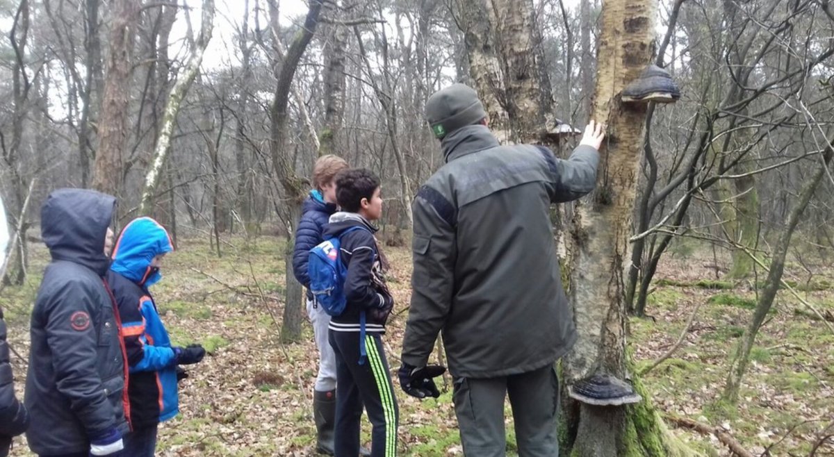 DeSingelier's tweet photo. Vorige week mocht groep 7/8 helpen bij de start van Life going up a level van @staatsbosbeheer Een mooi project met natuurherstel rond Oude Willem. https://t.co/JqJ8le9Z8y @TalentWestervel https://t.co/ipU0fZHdQZ