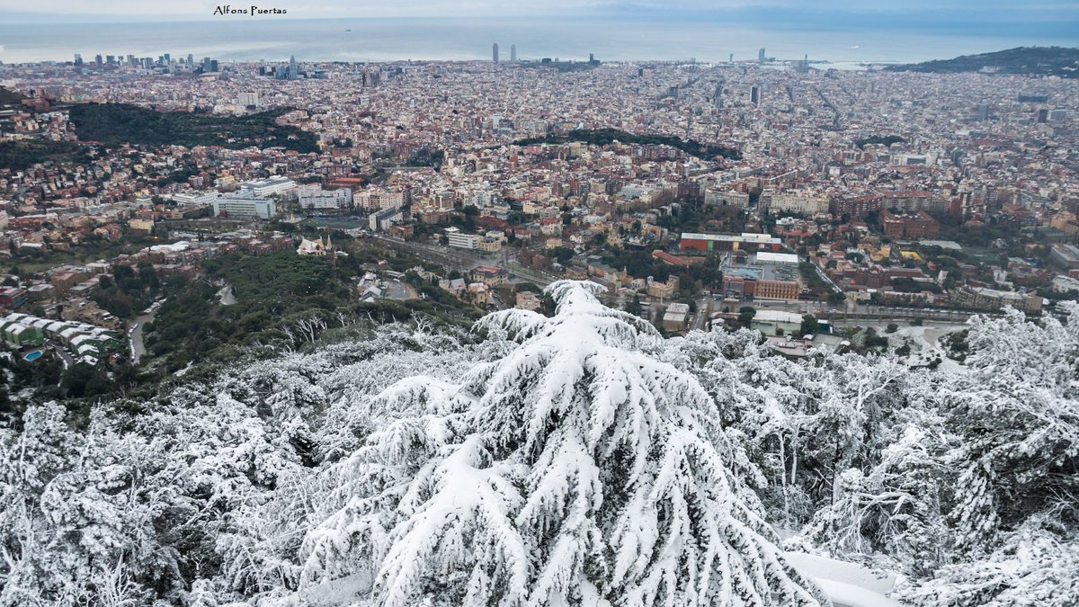 alfons_pc's tweet photo. Panorámica de #Barcelona desde #obsFabra con paisaje alpino en pleno mes de marzo #nieve #neu #snow @meteocat @comandotibidabo @btveltemps @wmo @AlfredRPico @TomasMolinaB @NatGeoPhotos @bcnmoltmes @catexperience @ARAmeteo @tiempobrasero https://t.co/9LR60hokrP