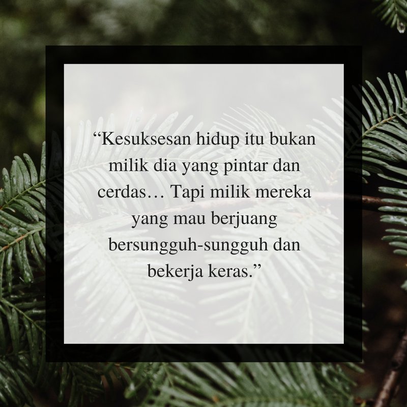 buku PKN stan 2016 (@bukustan) on Twitter photo 