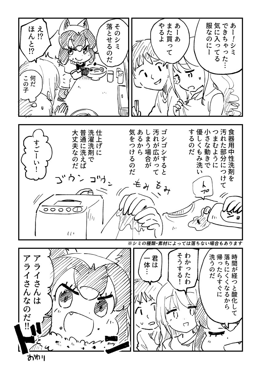 洗濯科学のアライさん 洋服のシミ抜きの仕方をアライさんがドヤ顔で教えてくれる漫画が可愛い Togetter