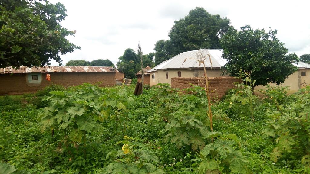 TrackaNG's tweet image. [Project Update] Construction of block 3 classrooms with furniture, office, and toilet at Jabo Bosso/Paikoro Fed Constituency, Niger state for N10m. Sometimes last year, We sensitized the community head &amp;amp; members about this project to engage their Rep.
#2017ConstituencyProject