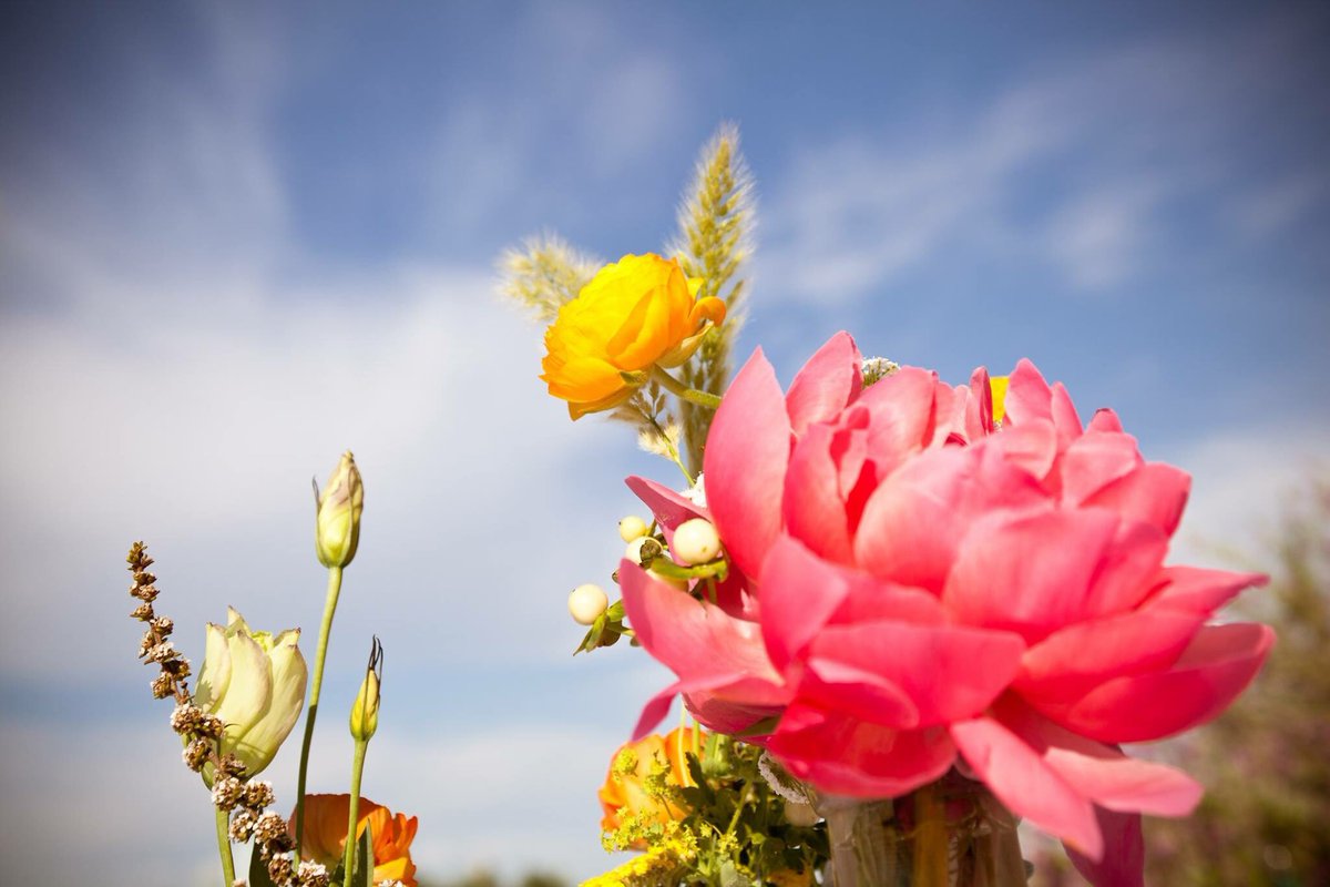 DFW_WED's tweet photo. We love the first day of spring just as much as we love these spring florals. It was the perfect compliment to our clients outdoor wedding and reception. #firstdayofspring #spring #centerpieces #outdoorwedding #outdoorreception #outdoorevents #dallas #weddingplanner #flowers https://t.co/MG8QgO3WAX
