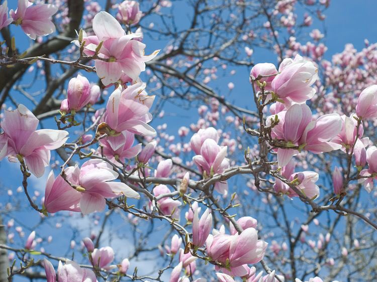 StSabau's tweet photo. #SpringDay Pour fêter l’arrivée du printemps, nous rencontrons 1 000 candidats aujourd’hui ! @Spring_FR @DaSilvaLaurent https://t.co/lhtrAIT0WB