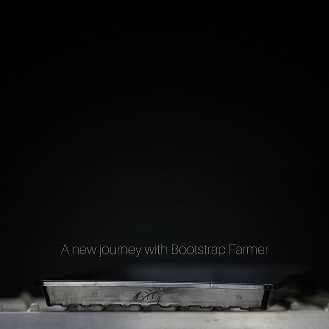 VGlunch's tweet photo. Exciting days ahead with @bootstrapfarmer 
Announcement link in bio.
.
.
.
.
.
#farmer #farm #hoophouse #greenhouse #soilgrown #soil #hydroponics #aquaponics #microgreens #herbs #foodtruck #culinary #localfood #knowyourfarmer #bootstrapfarmer #stateofthe… https://t.co/NIoPn0eJLz https://t.co/VWGimNt9Au