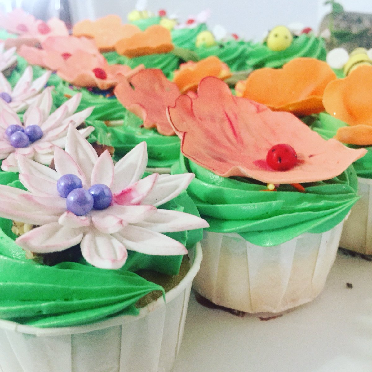 BRosePastries's tweet photo. Spring is here!! 🌞Celebrate with a daisy! 

#spring #springishere #blackrosepastries #daisy #bakery #treatyourself #warmerdays #happytimes #follow #share #celebrate #cupcakes https://t.co/IS096IoYv4