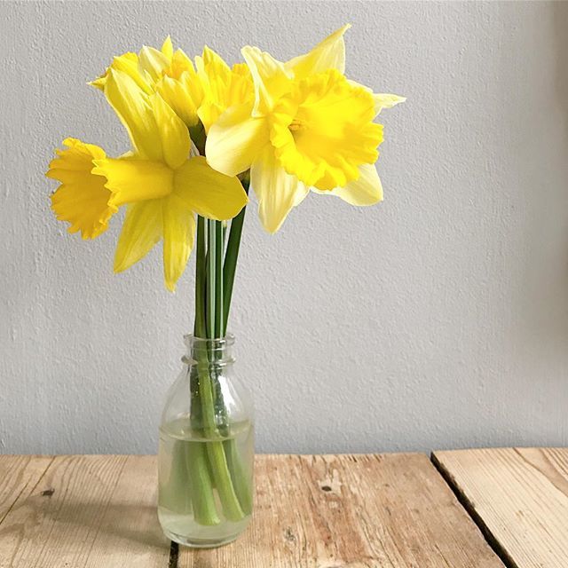 Kerriemitchell's tweet photo. Happy first day of spring! 😍 Can you believe the clocks go forward this weekend?! What are you most looking forward to doing when it warms up out there?
.
I want to tackle the garden, the chickens have destroyed it so to time to fence them in and end… https://t.co/exMHr3DGgt https://t.co/ng34S84ump