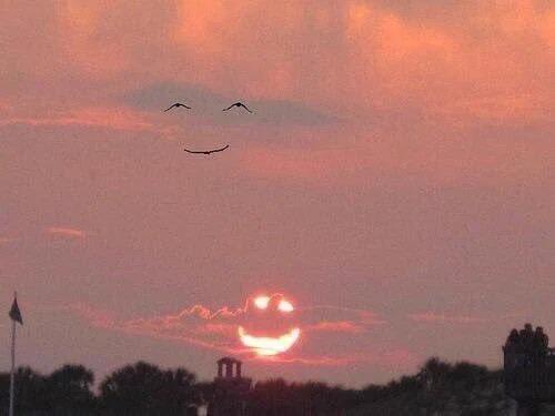 The sun smiles, and the birds smile back