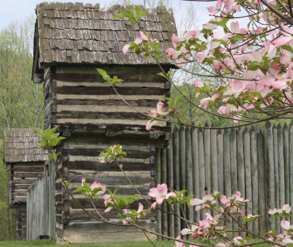 MarionCVB's tweet image. Dear Spring, it's good to have you back (or should we say please come back!). Stay as long as you'd like!

In the words of @ShawnWBOY, it's #SpringInAppalachia
#spring #AlmostHeaven #mymarionwv@