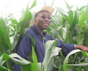 aatfafrica's tweet photo. "@WEMAPartnership project started in 2008 to dev. and deploy royalty-free drought-tolerant and insect-pest protected maize varieties to #farmers in #Africa" @aatfafrica Dr Sylvester Oikeh -- speaking at Australia-Africa Agric. Research Symposium in Nairobi - #Ke today #FightFAW https://t.co/4MWlHxcNEI